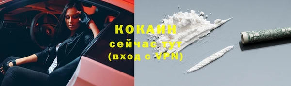 прущие грибы Козельск