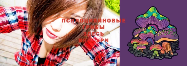 таблы Алексеевка