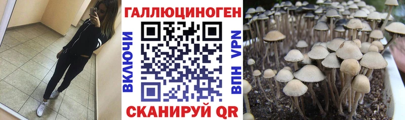 Галлюциногенные грибы ЛСД Орехово-Зуево